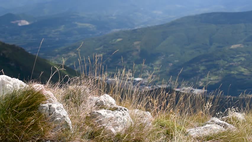 Grass swings in wind on mountain edge in selective focus, against valley