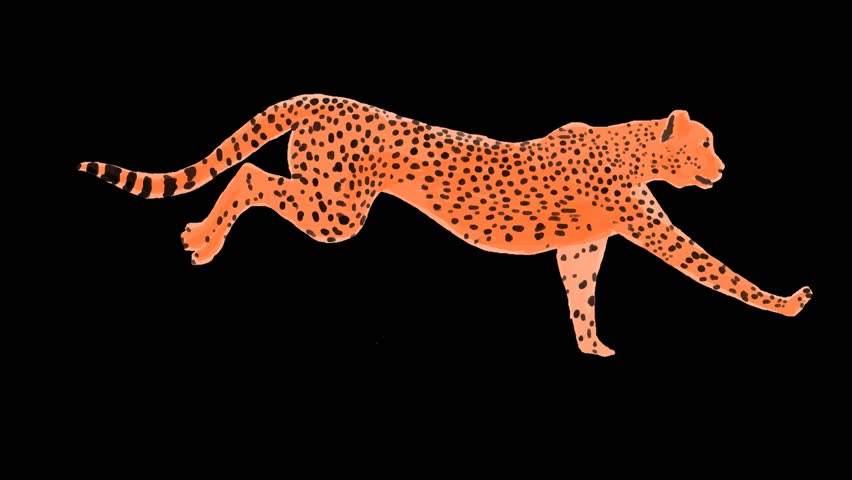Colored running cheetah with transparent background, hand drawn frame by frame animated running cheetah, cheetah running animation loop | Shutterstock HD Video #1108983425