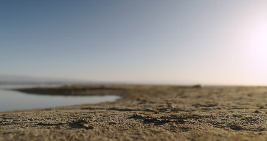 Unknown person threw bottle on beach. Lack of culture of throwing garbage in trash. Lack of concern for nature and future of children. Slow destruction of planet and all life on it by man | Shutterstock HD Video #1108997409