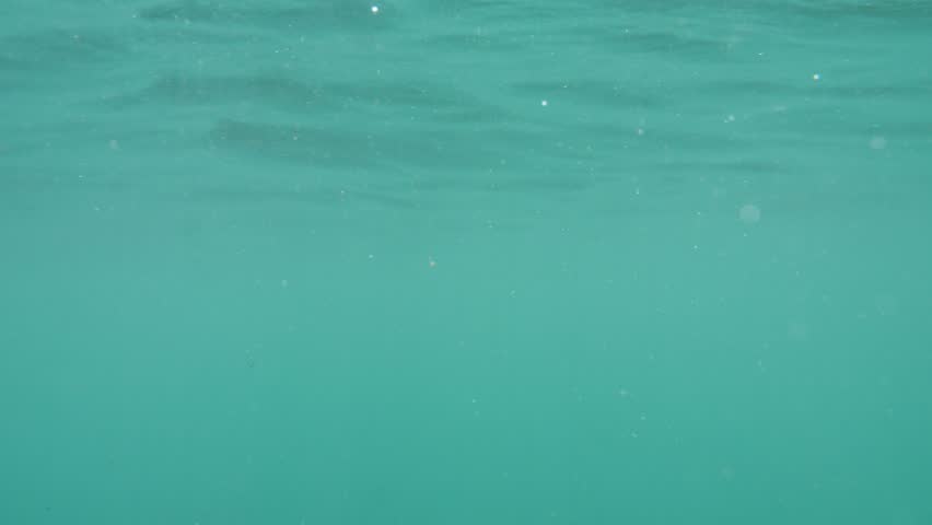 From sea level, camera's dive and return illustrate a sinking despair scenario.