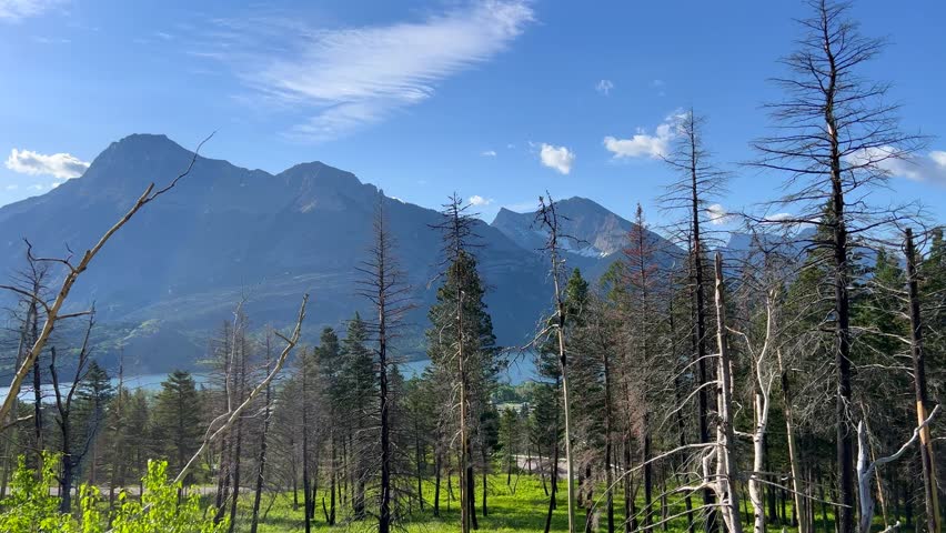 Driving through Waterton Lake National Park in Waterton Park, AB Canada.