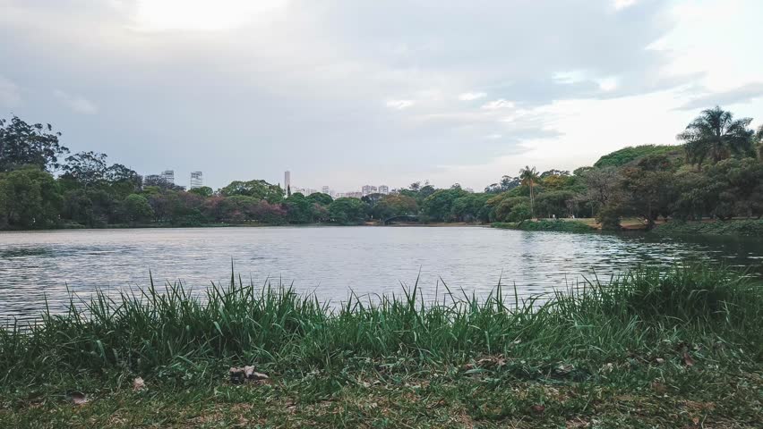 Ibirapuera Park in São Paulo, Brazil in the afternoon. Timelapse 