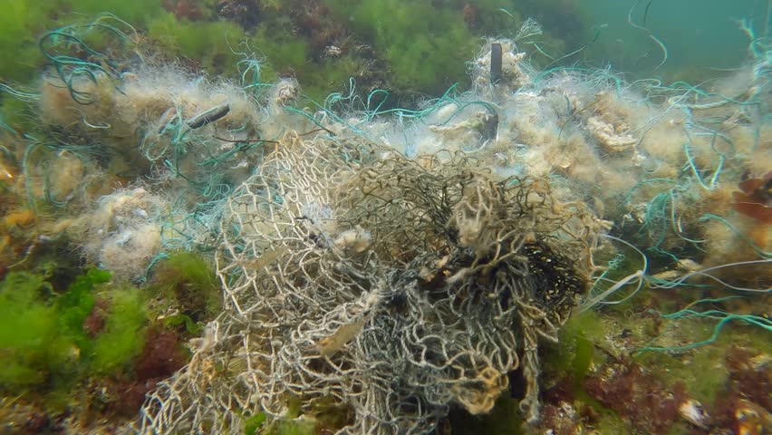 Panorama of lost fishing net lies on green algae Ulva in sun glare on shallow water in Black sea, Slow motion. Ghost gear, fishing gear that has been abandoned, lost or otherwise discarded | Shutterstock HD Video #1109009031