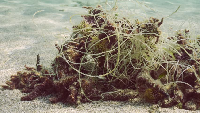 Close up of skein of fishing line lies on sand seabed in sun glare. Lost fishing line underwater in Mediterranean Sea, Slow motion. Pollution of the Seas and Oceans | Shutterstock HD Video #1109009081