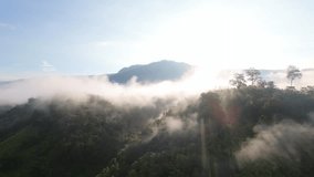 video motion of the atmosphere with morning mist surrounded by mountains in nature. There is a village for farming.