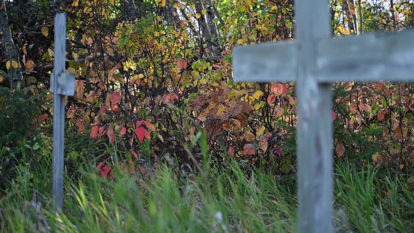 Autum multi-colored leaves move in the wind behind two simple wooden grave markers. The crosses are out of focus. Tall green grass along the bottom of the frame is also moving.  
