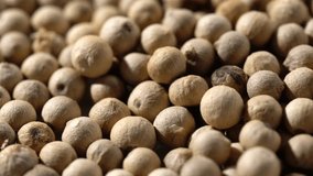 Scrolling video of white pepper. Close-up.