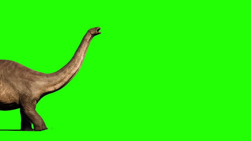 Apatosaurus Dinosaur Green Screen Background Chroma Key