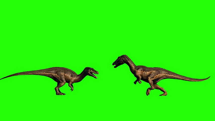 Baryonyx Dinosaur Green Screen Background Chroma Key