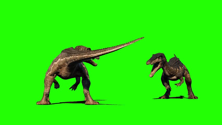 Baryonyx Dinosaur Green Screen Background Chroma Key