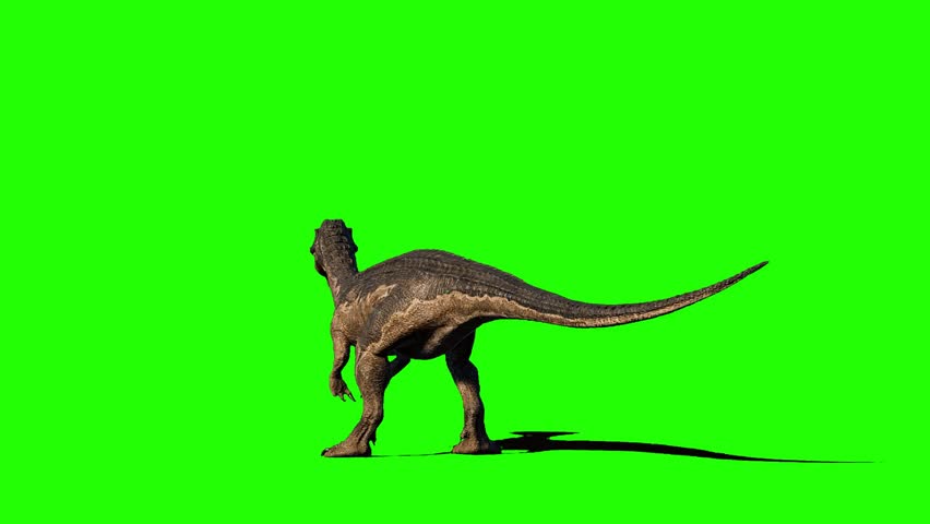 Baryonyx Dinosaur Green Screen Background Chroma Key