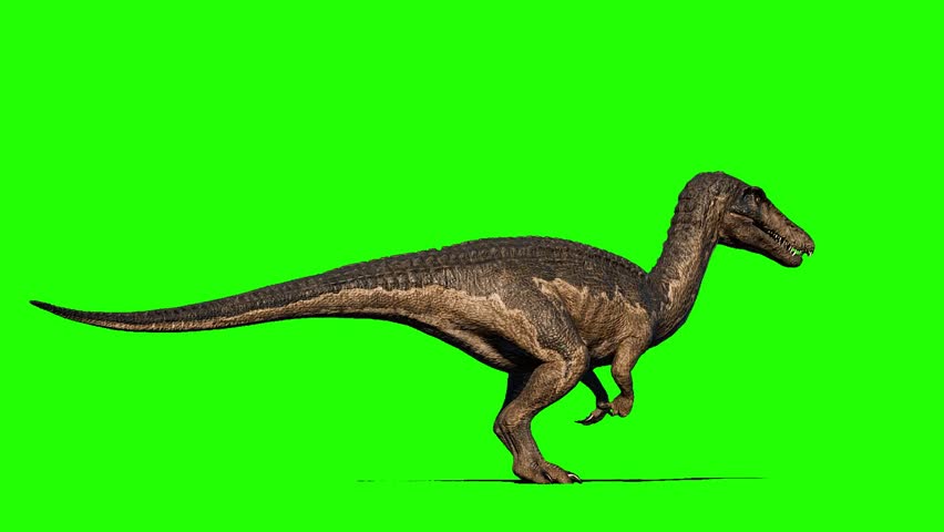 Baryonyx Dinosaur Green Screen Background Chroma Key