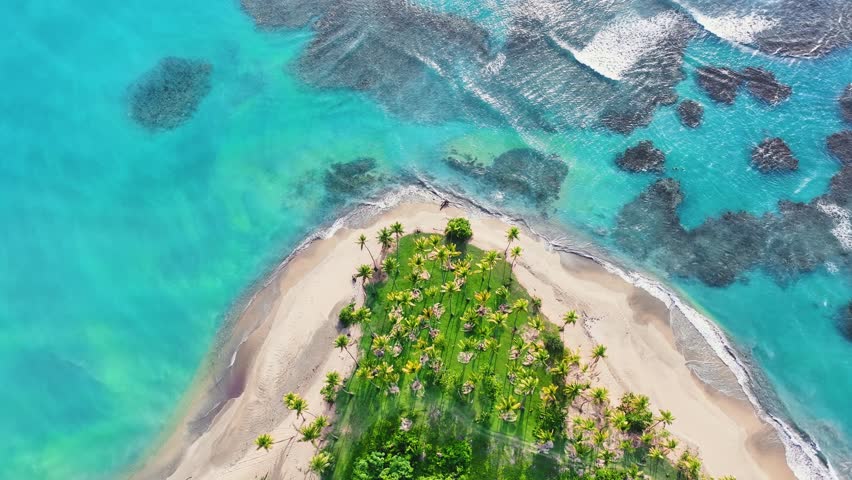 Aerial view of a picturesque Caribbean island with a wild palm beach. Background of the blue ocean near the green tropical coast on a sunny day. Landscape of tropical nature from a bird