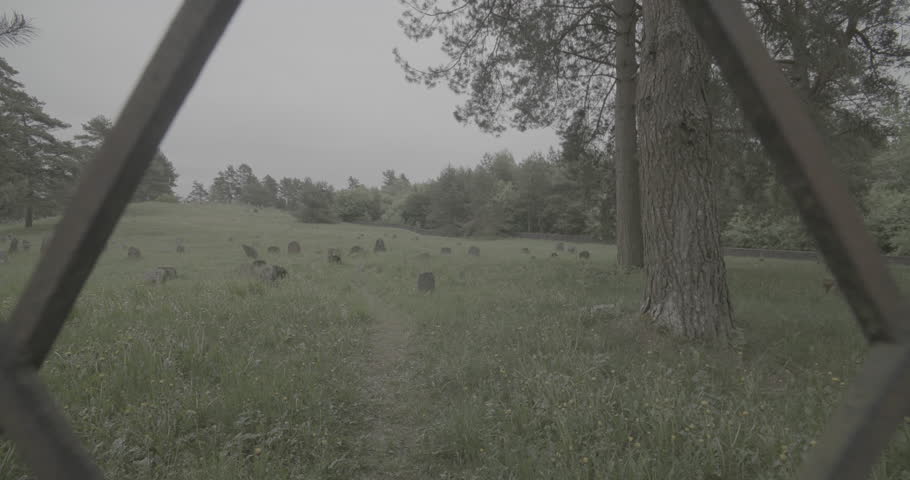 David star on door entrance to jewish grave, Old ancient Jewish cemetery in summer spring day. Druya, Belarus. green grass and many ancient stones. Headstone Headstones Tombstones clog2, clog, canon