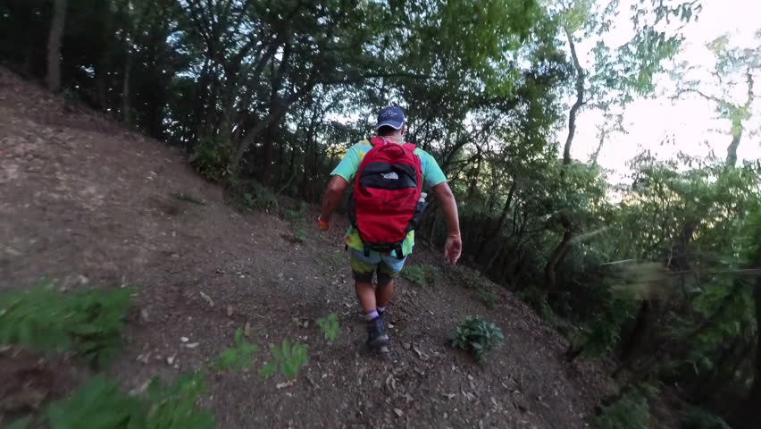 Man running down the Japanese mountain in the forest | Shutterstock HD Video #1109072453
