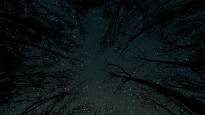 Movement of stars in the night sky with the view of mountains | Shutterstock HD Video #1109078027