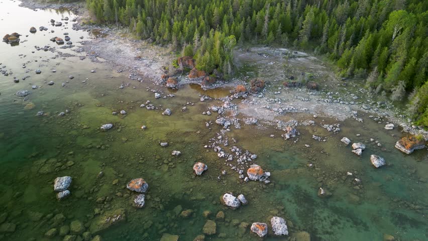 Aerial downward view of coastline boulders in lake and forested area beach, Lake Huron, Michigan