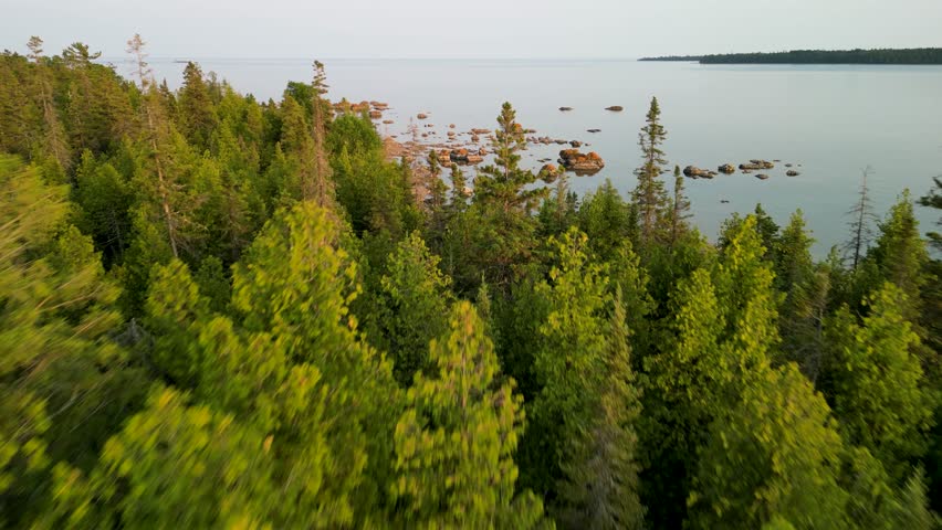 Aerial reveal flyover pine trees of rocky beach and lake, Lake Huron, Michigan