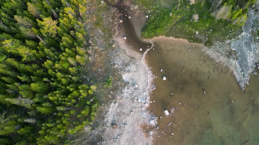 Aerial topdown of river bed and forested area, Lake Huron, Michigan