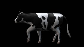 A cow walking on black background with alpha channel included at the end of the video, 3D animation, side view, animated animals, seamless loop animation