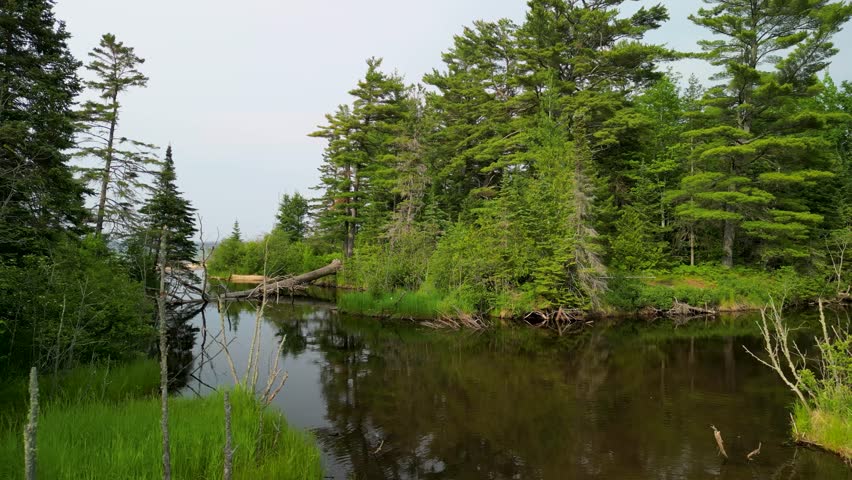 Aerial view of small forested lake inlet, Lake Superior, Michigan