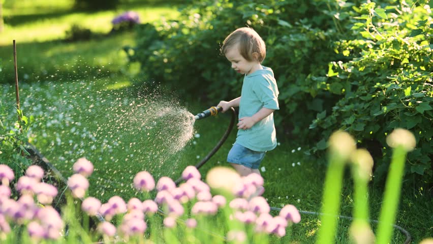 Cute toddler boy watering flower beds in the garden at summer day. Child using garden hose to water vegetables. Kid helping with everyday chores. Mommys little helper. Royalty-Free Stock Footage #1109102071