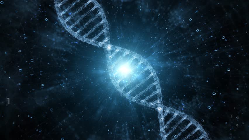 Abstract blue colored shiny dna molecule on futuristic digital data animation background.  | Shutterstock HD Video #1109107435