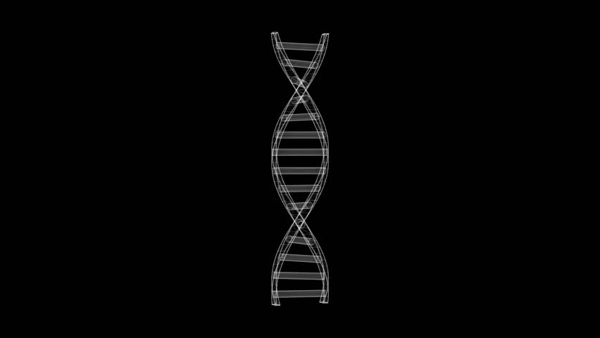 Spinning 3d wireframe DNA motion graphics with plain black background | Shutterstock HD Video #1109110521