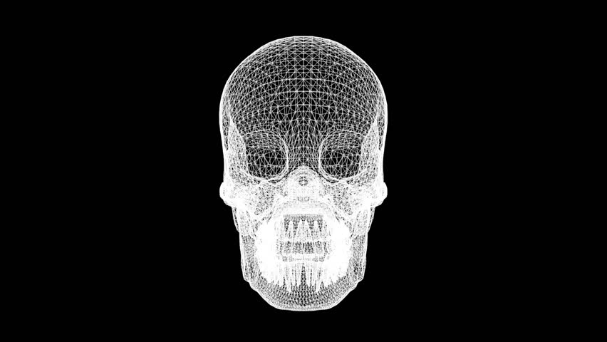 Spinning 3d wireframe human skull motion graphics with plain black background | Shutterstock HD Video #1109110733