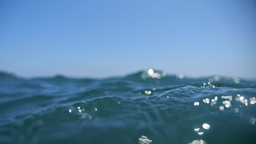 Dive and resurface captured in slow-motion, amidst sunlit, mildly choppy sea waters. | Shutterstock HD Video #1109113523