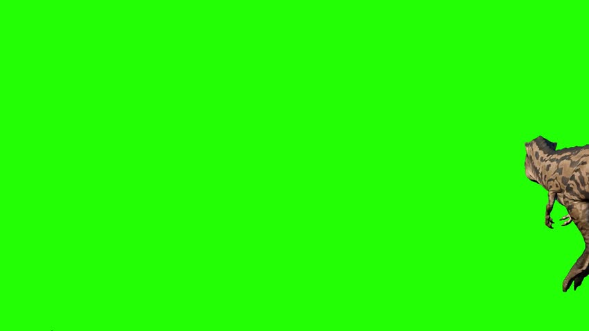 Albertosaurus Dinosaur on Green Screen Background