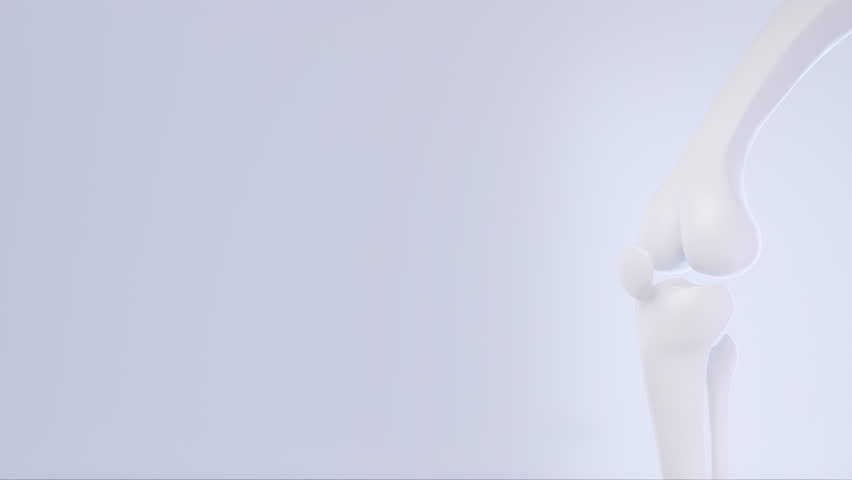 healthy bone human with Foods vitamin or Calcium, and Collagen, Medical food concept background.