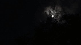 Low angle view of moon against sky at night 4k video - Powered by Shutterstock - Get 15% off with code: PIKWIZARD15