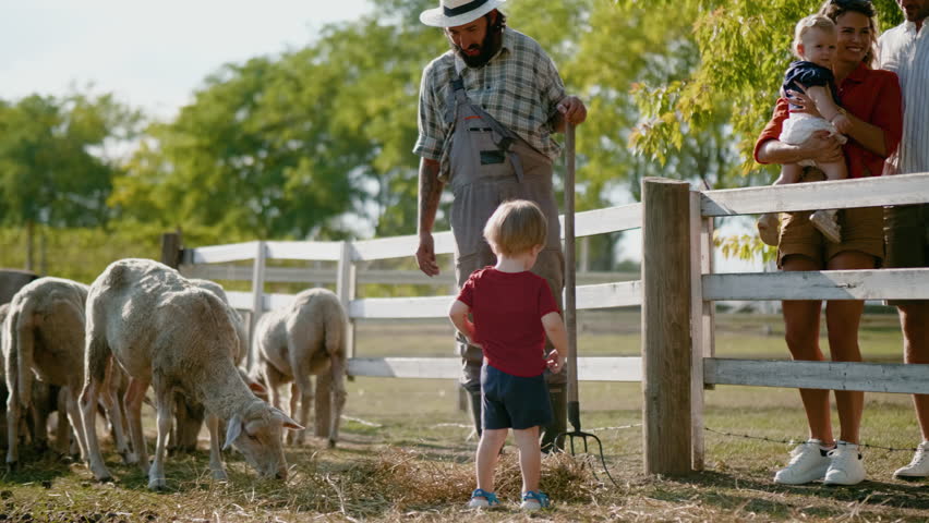 Family with little children visiting sheeps farm, farmer talks to a three-year-old boy on the ranch