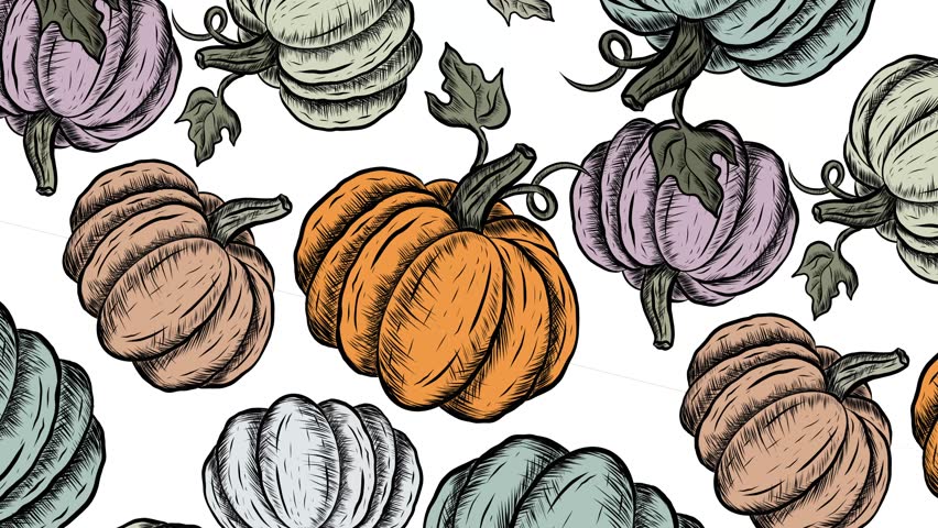 4k Animated Hand drawn pumpkin motion pattern on white background Colorful Hand Drawn Pumpkins Texture Vintage Style Vegetables Pattern Wallpaper Illustration Farm Gardening Cooking and Halloween | Shutterstock HD Video #1109133061
