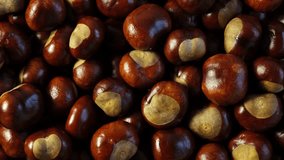 Ripe chestnuts fruits, close-up. Chestnut nuts are used in cooking. 4K video, Rotating.