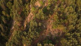 Slowly moving up and forward with panning up motion, a village can be seen in the end of the video and a person piloting the drone with a small cabin, close to the trees and rocky cliffs. 4K 30fps.