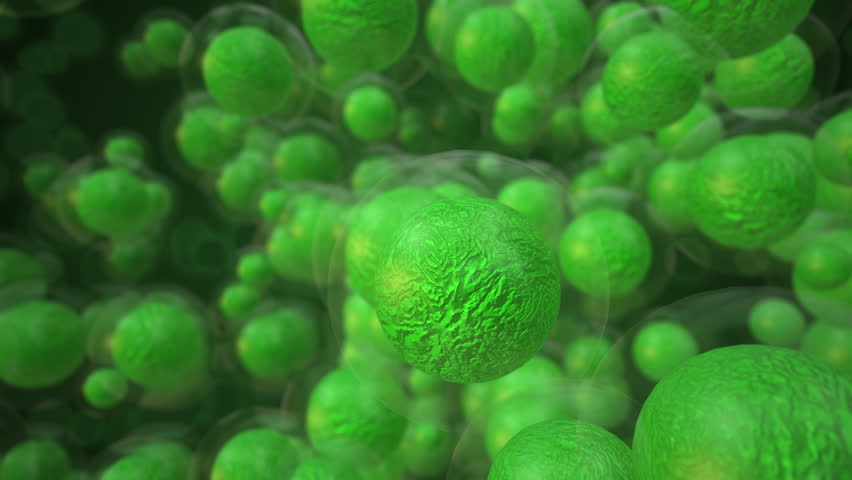 Embryonic stem cells medical concept | Shutterstock HD Video #1109136413