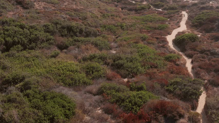 Flyover of La Jolla Shores cliffs. The cliffs are sandy brown and the sky is clear and blue. There is grass and other plants on top of the cliffs. It is day, in the afternoon.