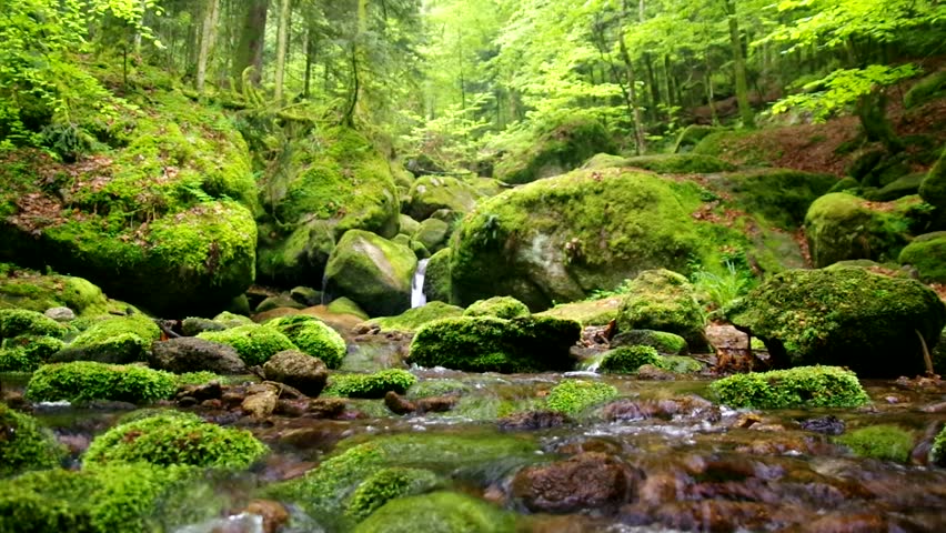 A landscape with water stream flowing over rocks in a forest in Germany