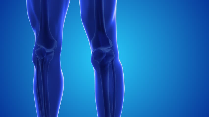 Injecting stem cells into a human knee.