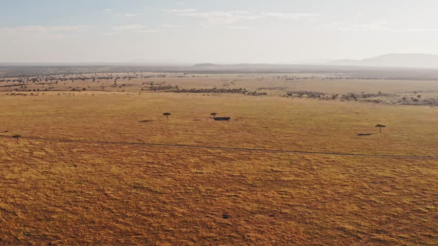 Masai Mara Aerial drone shot of Africa Landscape Scenery of Savannah Plains and Grassland, Acacia Trees High Up View Above Maasai Mara National Reserve in Kenya, Wide Establishing Flying Over