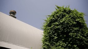 static shot looking up at the metal roof of a barn and a grain silo covered in foliage - Powered by Shutterstock - Get 15% off with code: PIKWIZARD15