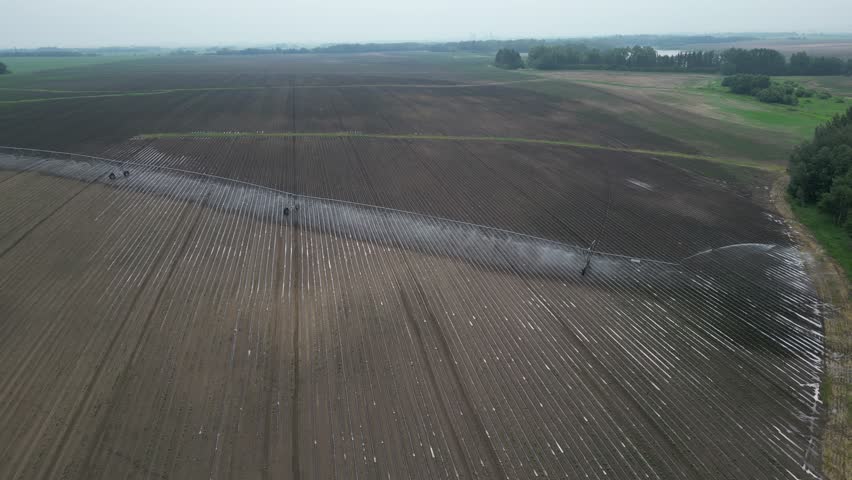Self propelled centre pivot irrigation system spraying on crops in Edmonton Alberta