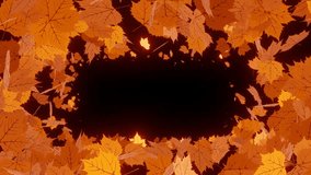 Autumn leaves form a frame on a black background. A lot of orange leaves are rotating on white background and form of a frame. 4K seamless looping videos - Powered by Shutterstock - Get 15% off with code: PIKWIZARD15