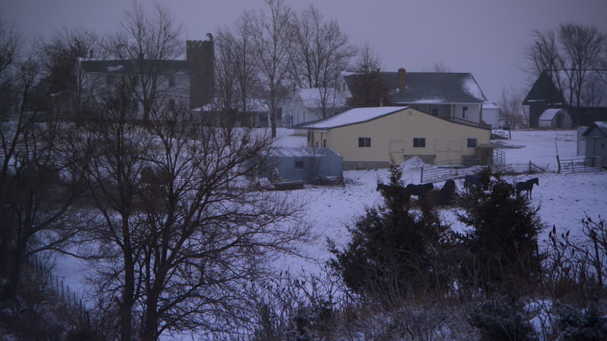 A working Amish farmstead with horses and livestock with heavy snow during the early stages of a dangerous winter blizzard in Davis County, Iowa.