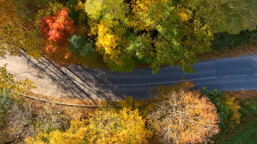 Bird's eye view of a road with cars passing by in autumn forest on a bright sunny day. Aerial colorful forest scene in autumn with orange and yellow foliage. Fall scenery in Vilnius, Lithuania. Royalty-Free Stock Footage #1109201387