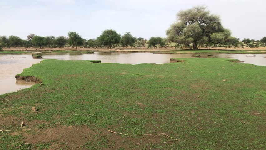 Beautiful greenery landscape view in a water valley. 
