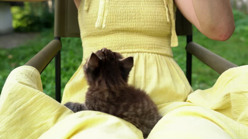 A girl teases a small tabby kitten with a string sitting on her lap. Little cute cat playing and biting with a cord from the yellow dress of a young woman sitting on a chair in the backyard. Love pet Royalty-Free Stock Footage #1109207023