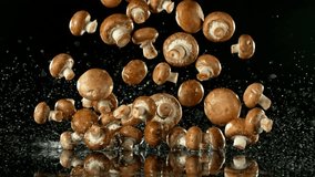 Super Slow Motion of Falling Champignons into Water. Isolated on Black Background. Filmed on High Speed Cinema Camera, 1000 fps. - Powered by Shutterstock - Get 15% off with code: PIKWIZARD15